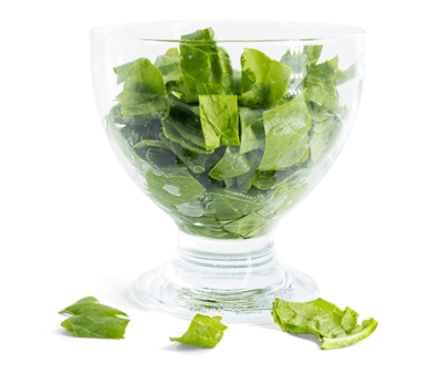 Cut leaf spinach
