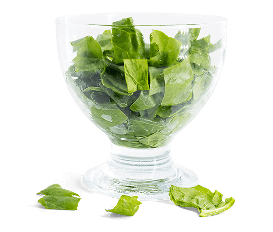 Cut leaf spinach