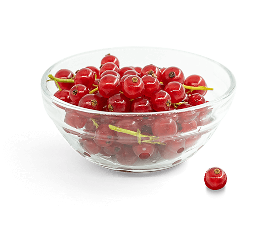 Red currant